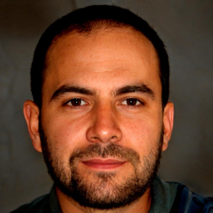 Datenanalyst Mads Buchmann